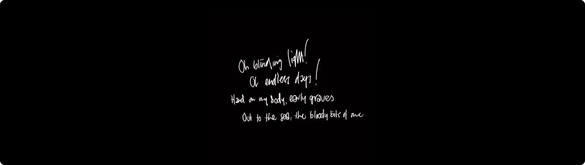 The lyrics that are get overlaid on the polaroids.